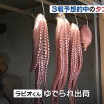 【悲報】W杯の勝敗予想を的中させた北海道のタコ、出荷される